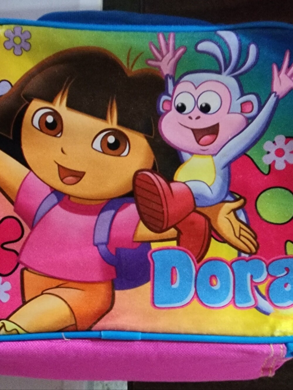 Retro 2011 Nickelodeon Insulated Dora the Explorer children's lunch bag